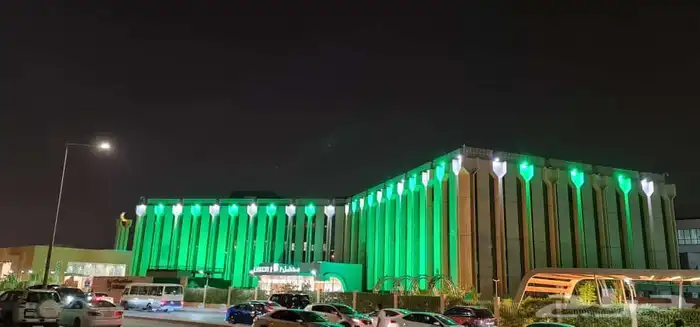 اضاءة اليوم الوطني 1