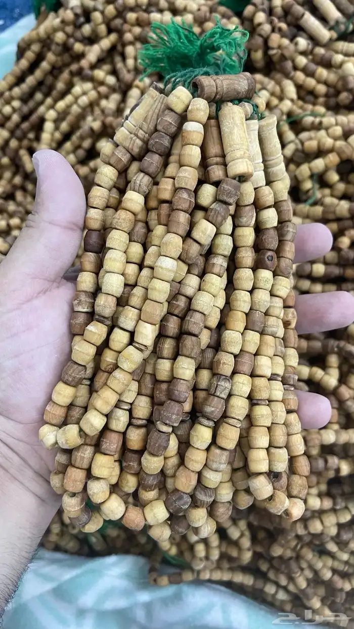 عرض سنة 2025 سبح جملة بريال 1