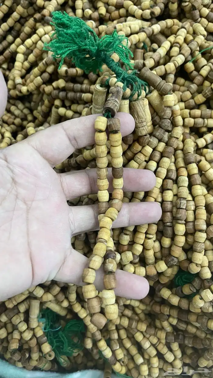 عرض سنة 2025 سبح جملة بريال 0