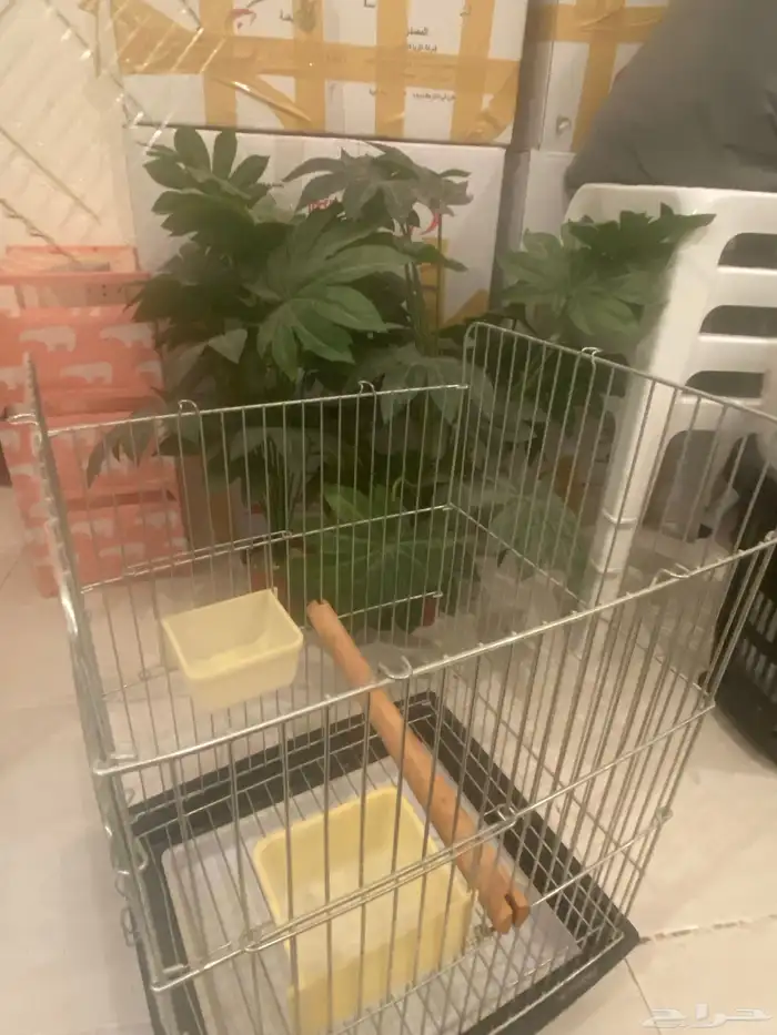 - قفص كاسكو كبير 2