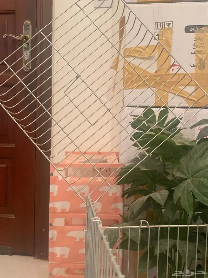 - قفص كاسكو كبير 1