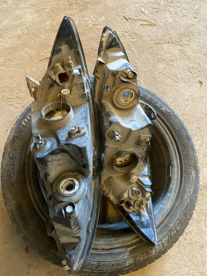 انور كامري 2