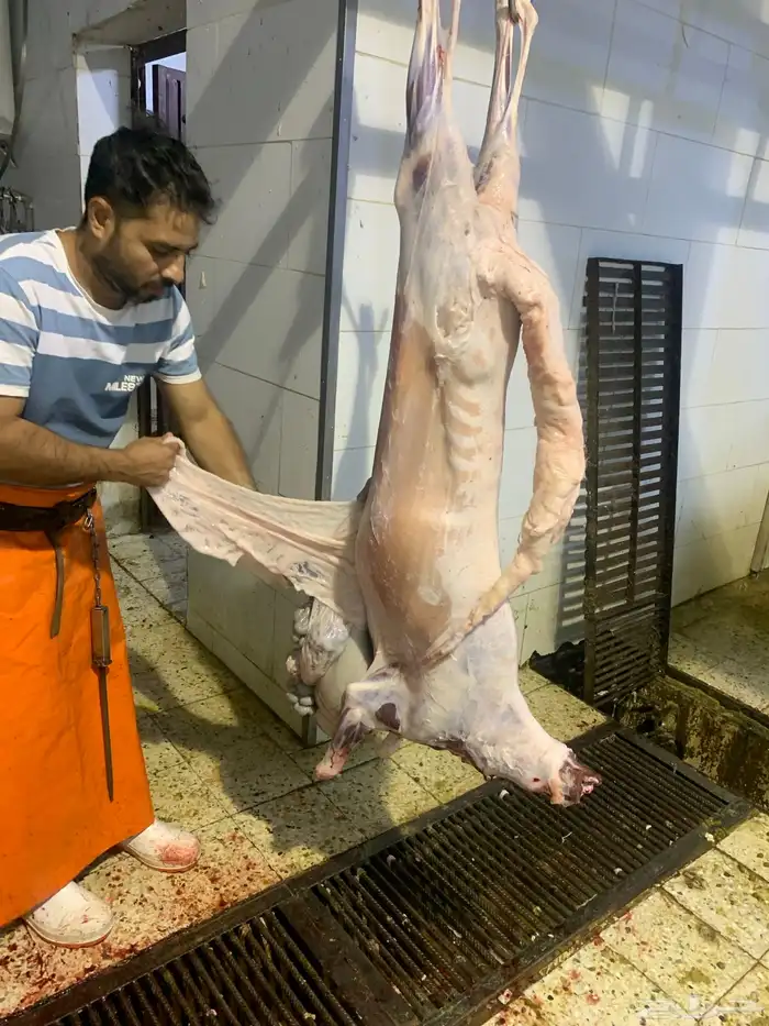 ذبايح نكهة الأجداد 9