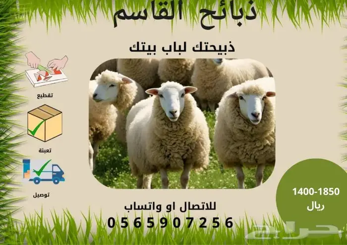 طليان حري مع التوصيل 0