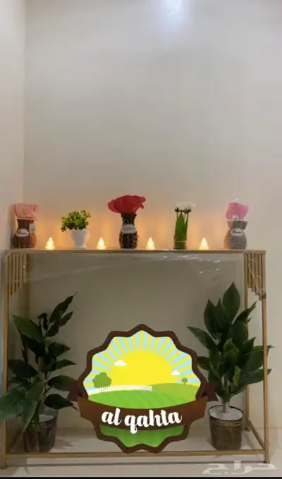 للبيع شاليه بمدينة الخطه شمال حائل 12