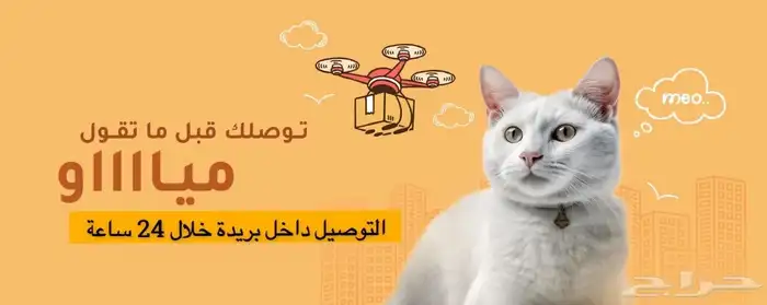 متجر Modi Birds 13