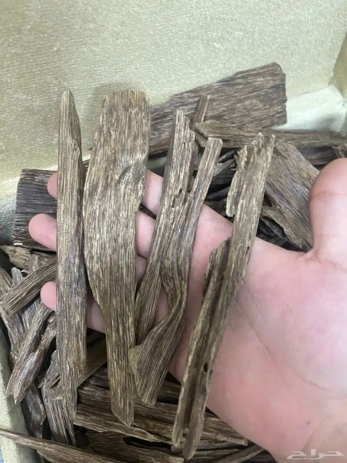 عود هندي آسام طبيعي 4