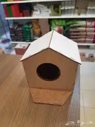 بياضه عشه طيور 10