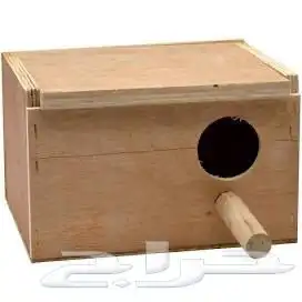 بياضه عشه طيور 1