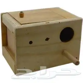 بياضه عشه طيور 4