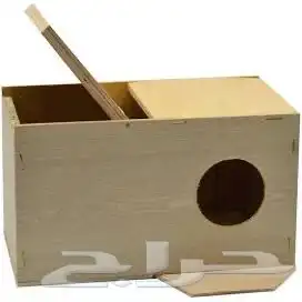 بياضه عشه طيور 0