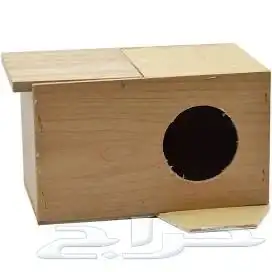 بياضه عشه طيور 8