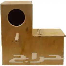 بياضه عشه طيور 2