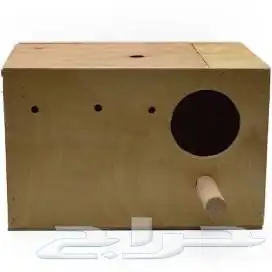 بياضه عشه طيور 7