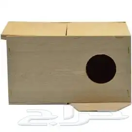 بياضه عشه طيور 6