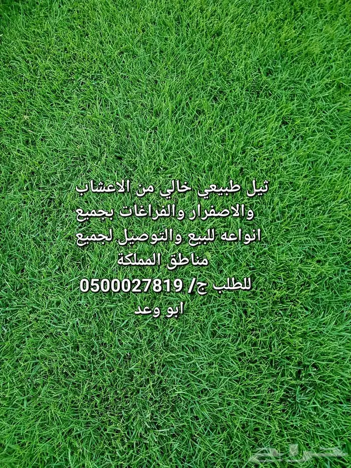 ثيل طبيعي للبيع والتوصيل 4