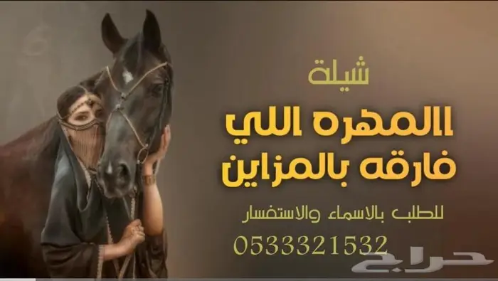 منشد شيلات وشاعر جزل 0