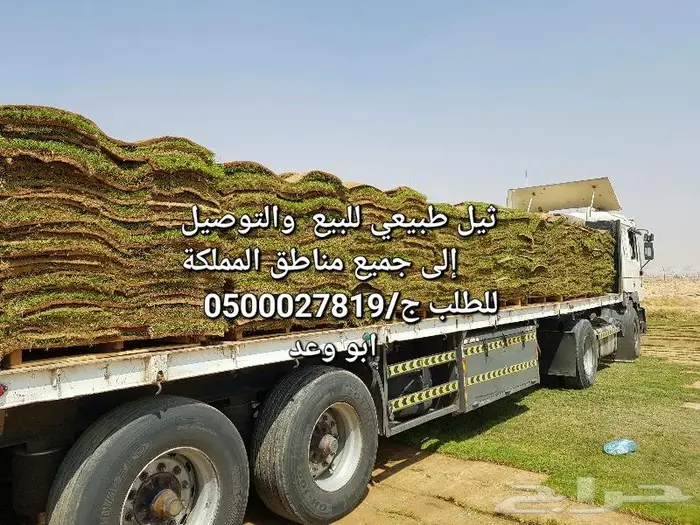 ثيل طبيعي للبيع والتوصيل 3