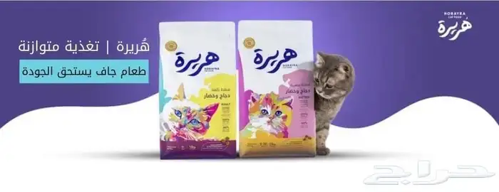 متجر Modi Birds 14