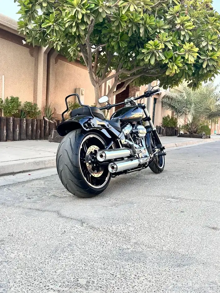 2018 Harley-Davidson Breakout 7