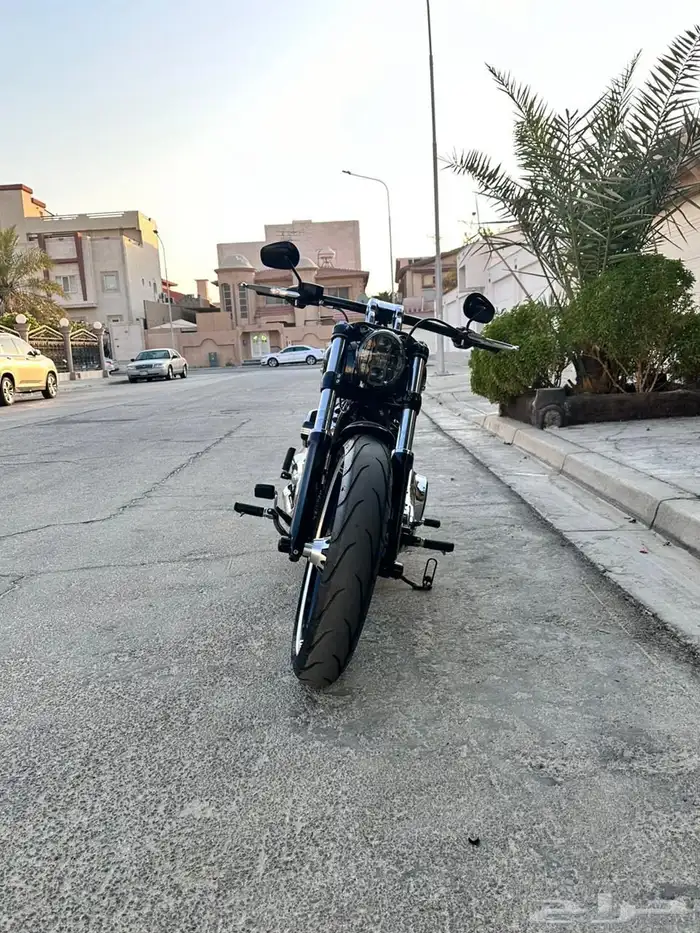 2018 Harley-Davidson Breakout 9