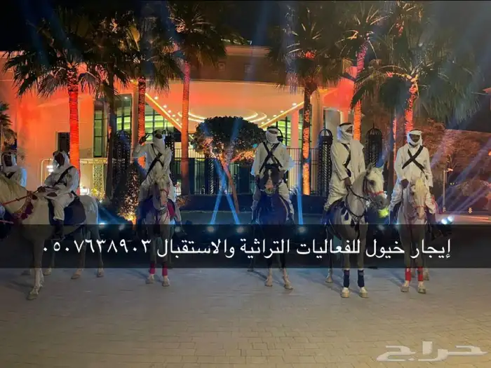 أستأجر خيول وجمال 6