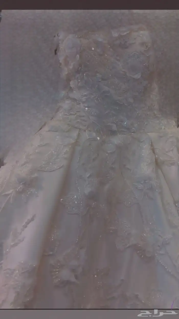 فستان عروسة 2024 للبيع او الايجار 5