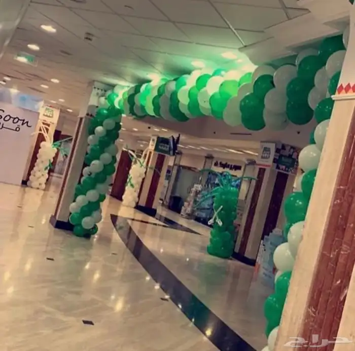 مداخل اليوم الوطني 26