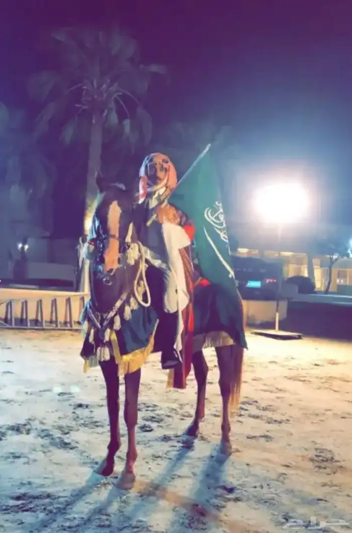 للحفلات والمناسبات (خيل-سيسي-حنطور -جمل) في الشرقية 3