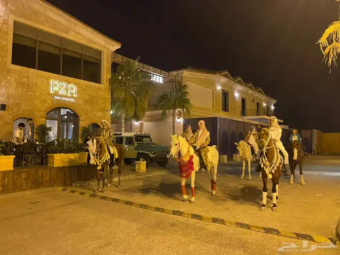 للحفلات والمناسبات (خيل-سيسي-حنطور -جمل) في الشرقية 1