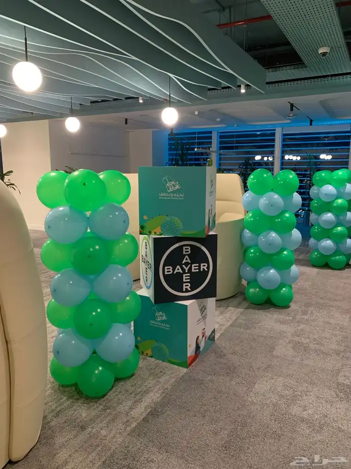 مداخل اليوم الوطني 5