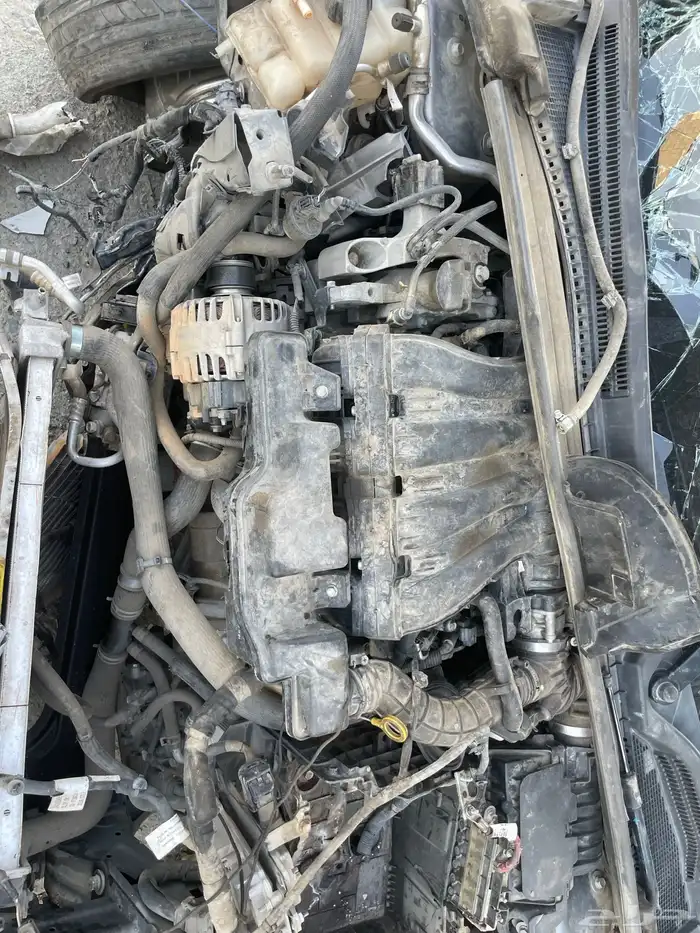 تالسمان 2017 2