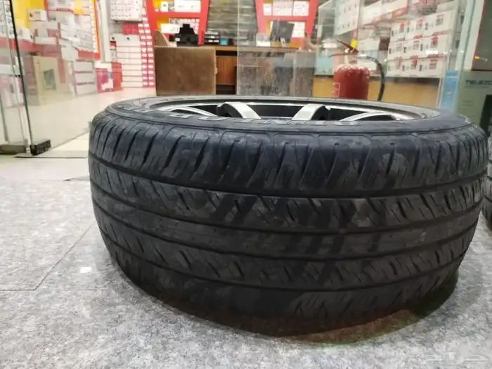 جنوط لينزو 12