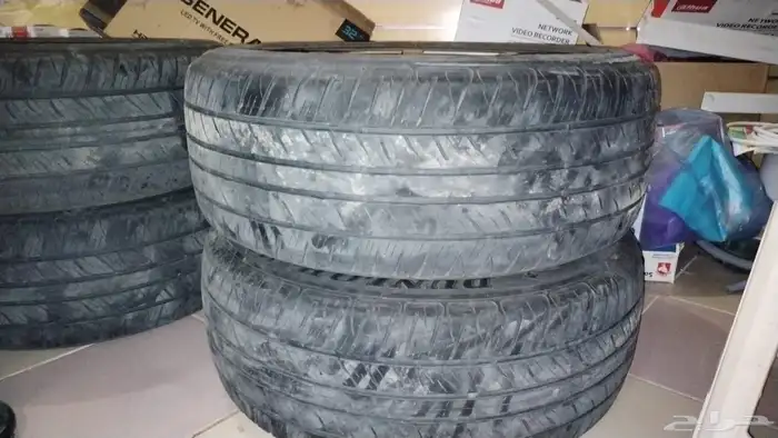 جنوط لينزو 14