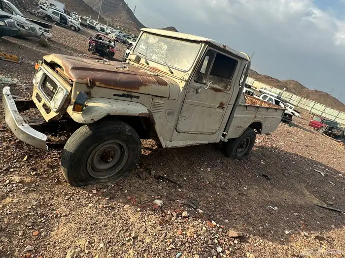 جيب ابو شنب 80 قطع غيار 0