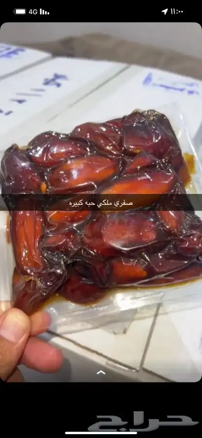 صفري ترج حبه كبيره 0