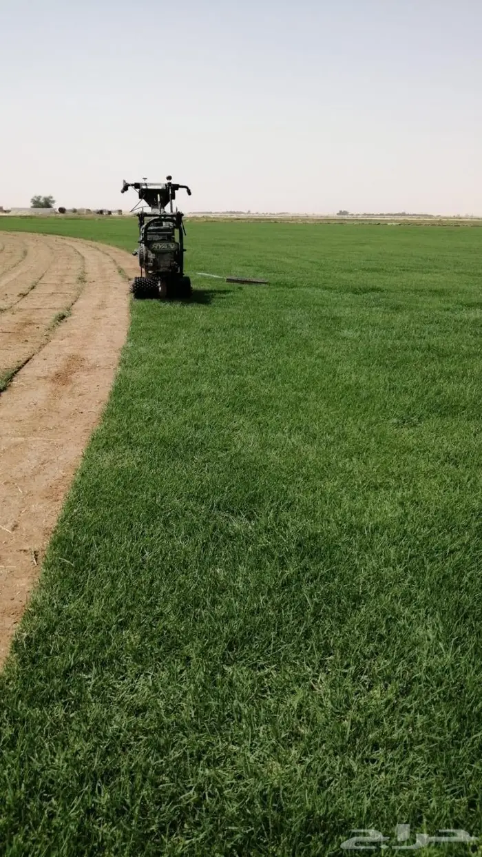 ثيل سي الفين درجه اولى 10