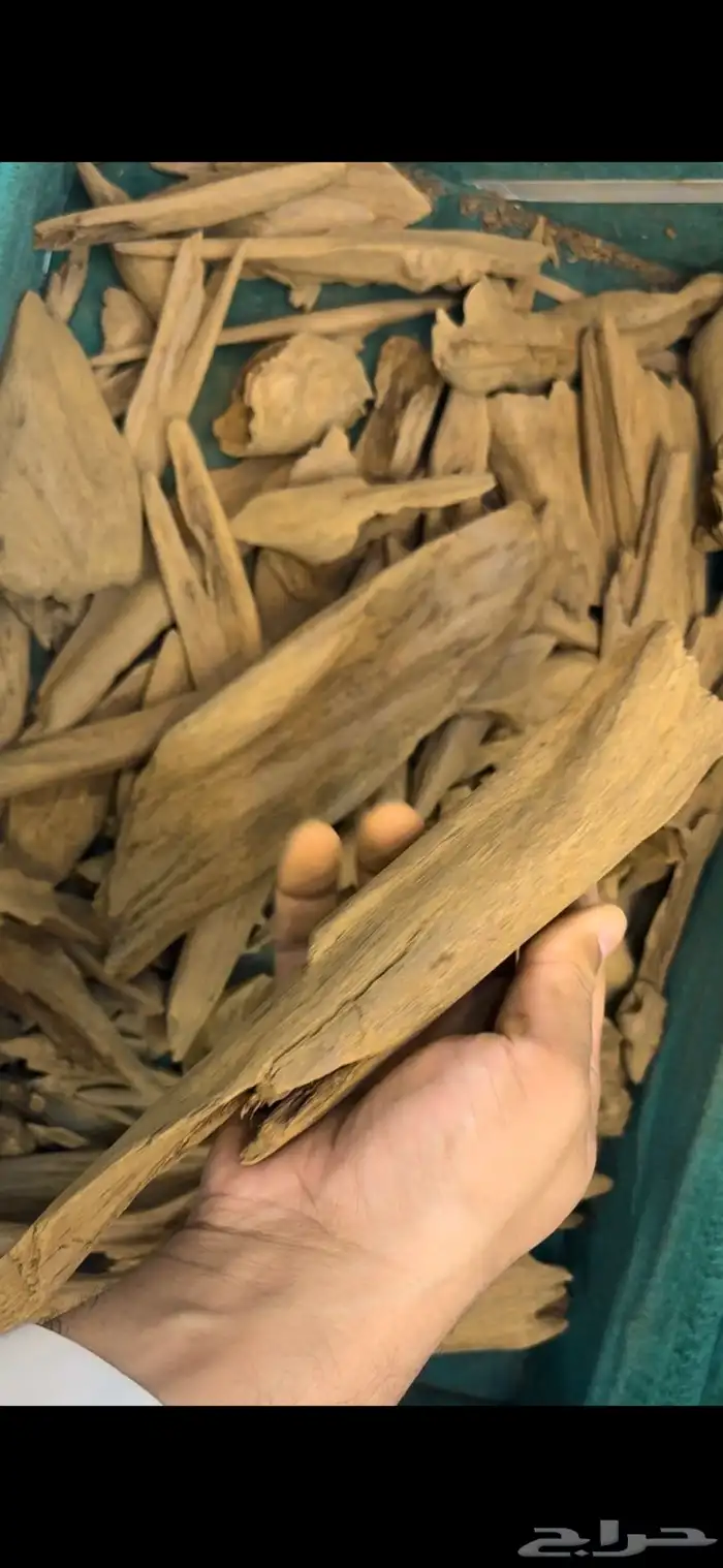 مروكي اصقون شرط دبل وتربل نكهة اصقون القديمه 1