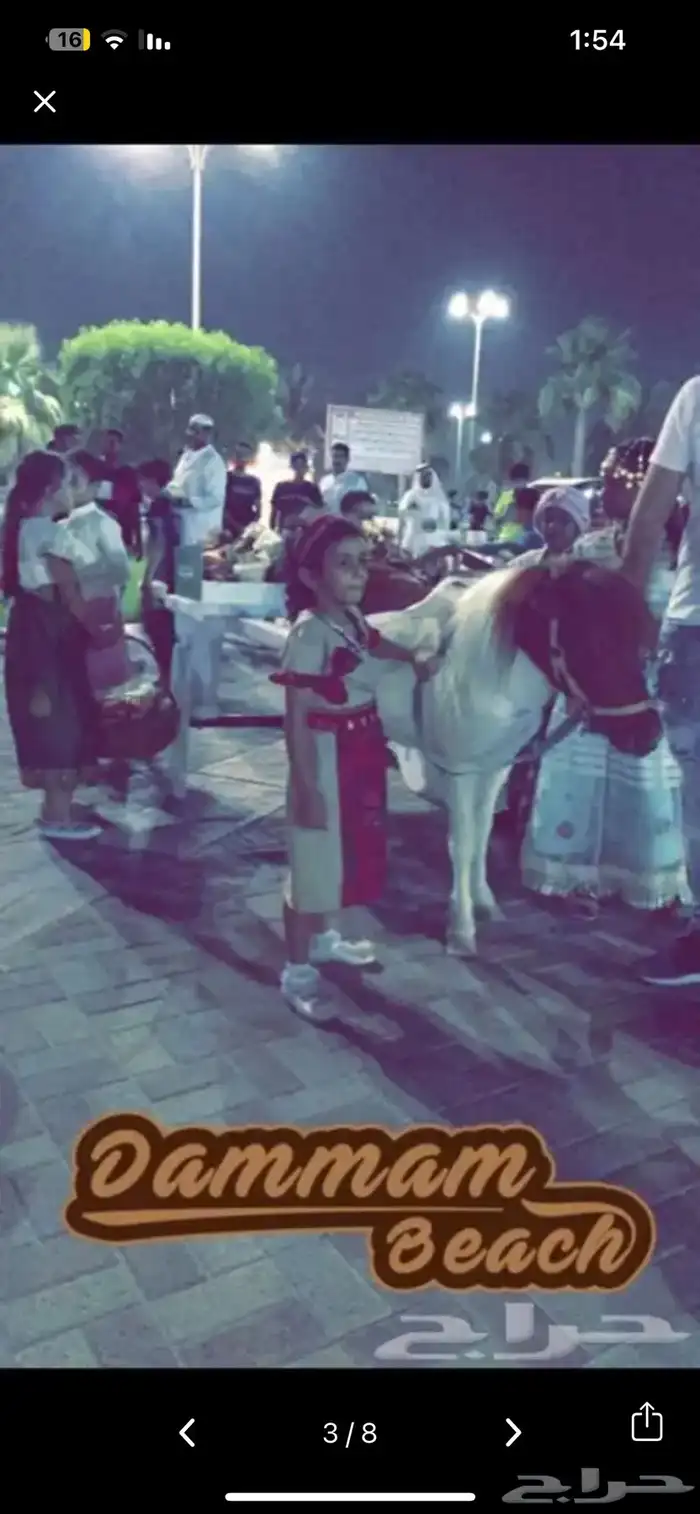 للحفلات والمناسبات (خيل-سيسي-حنطور -جمل) في الشرقية 7