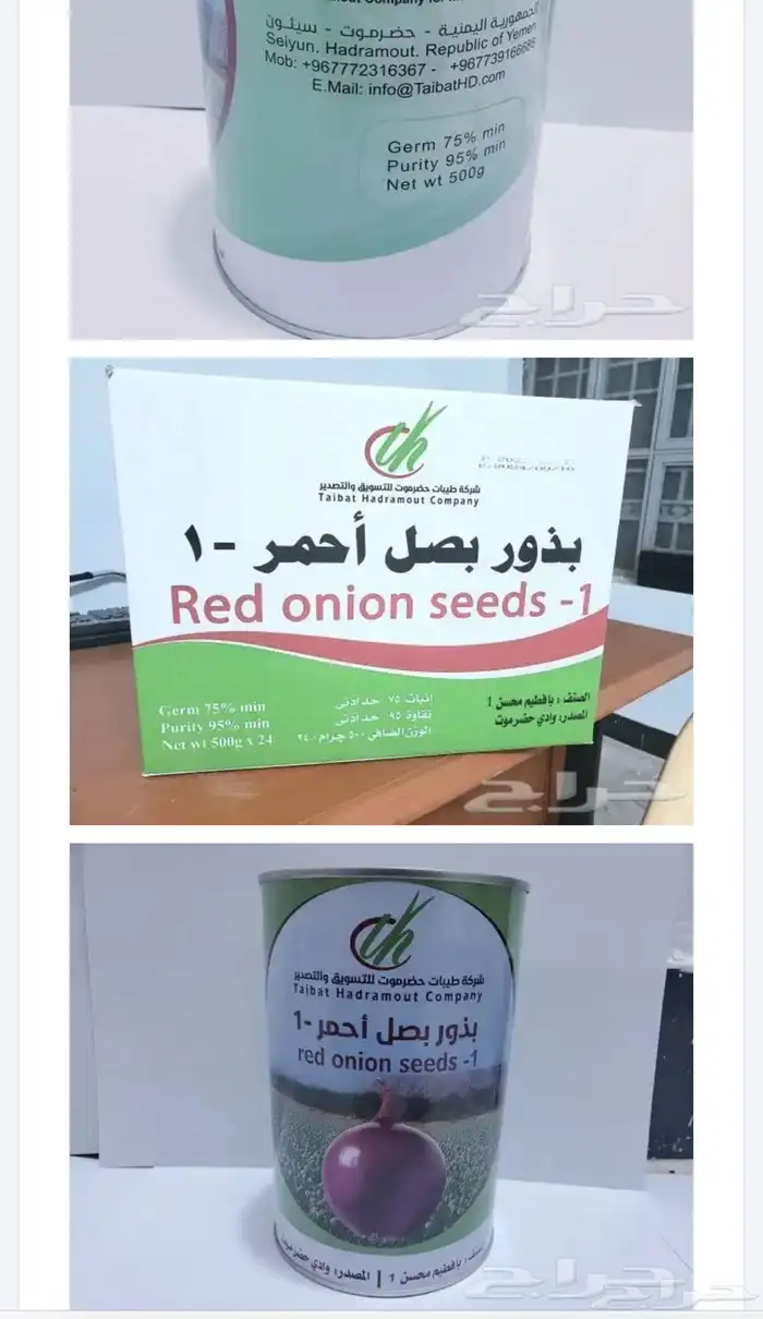 بصل احمر بافطيم حضرمي يمني 2