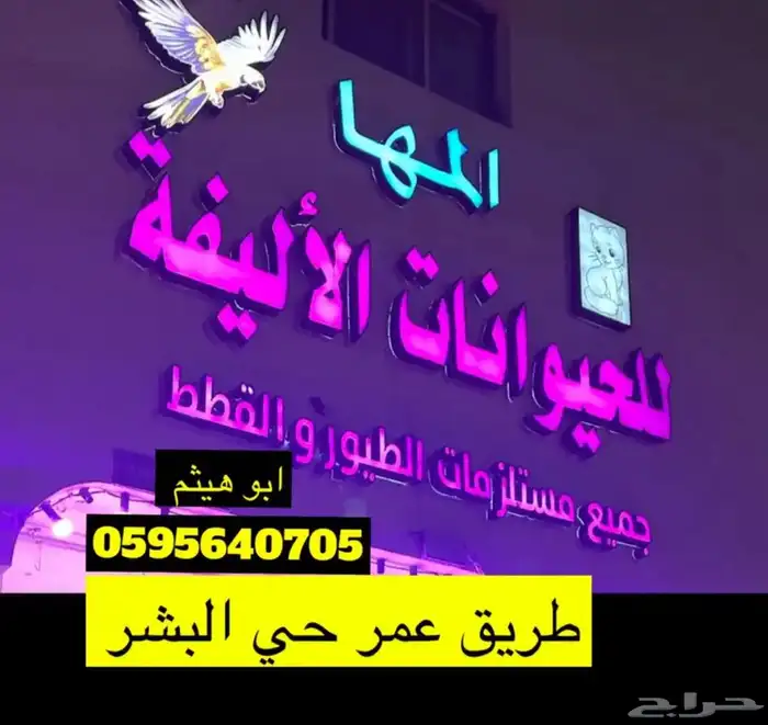 طيور زينه 0