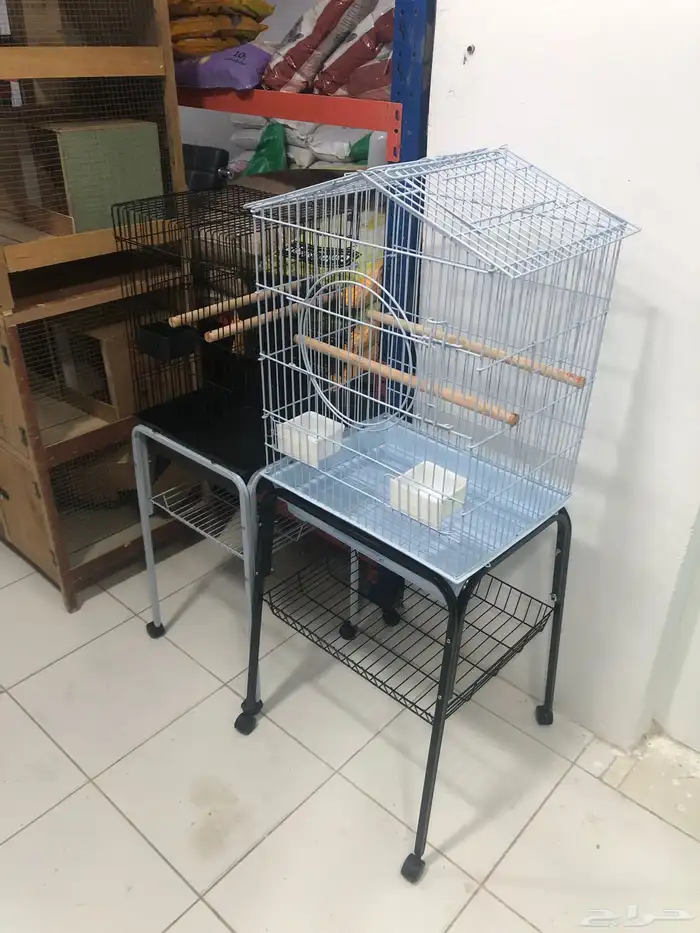 قفص كاسكو ببغاء 2