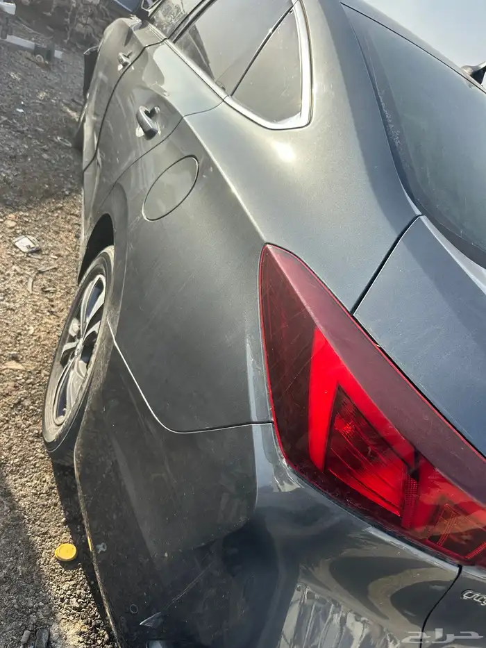 شانجان ايدو 2022 4