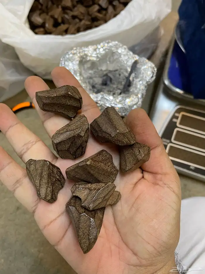 موروكي سعر جملة الكيلو 450 ريال 0