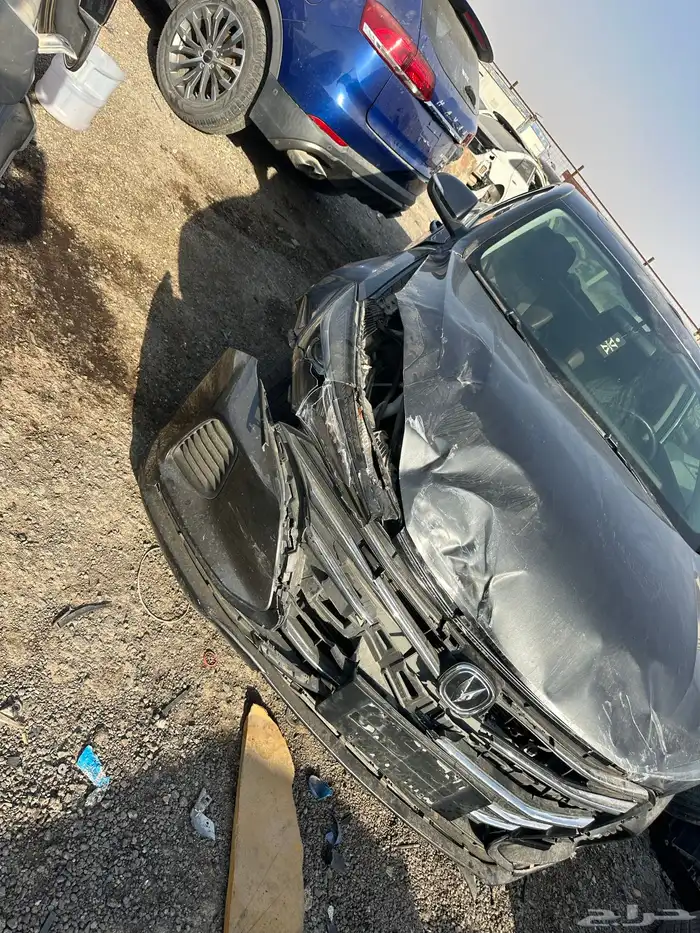 شانجان ايدو 2022 0