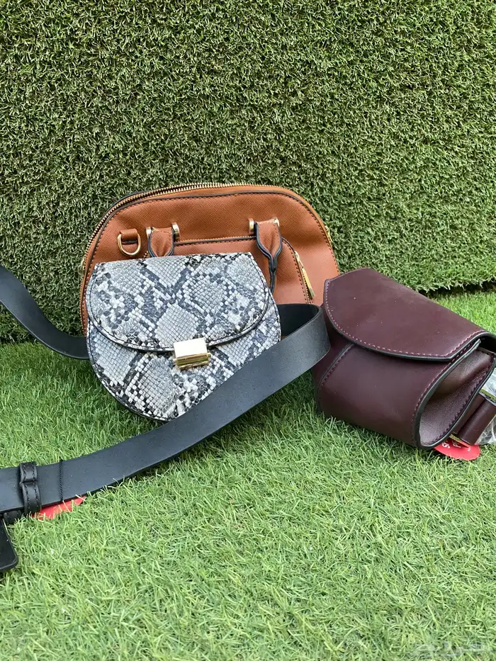 تشكيلة شناط نسائي 0