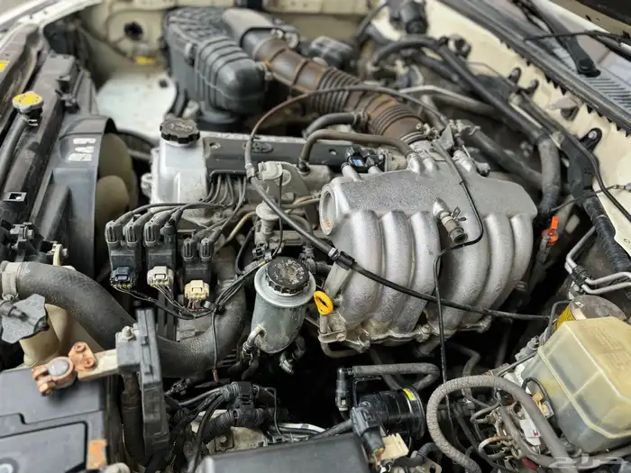 جكسار2006 سعودي قمة في النظافه 16