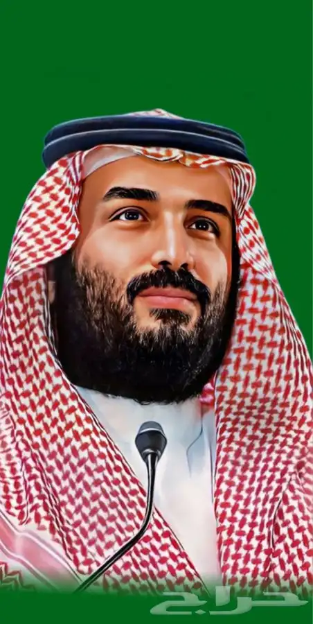 رسام صور بارخص الأسعار 1