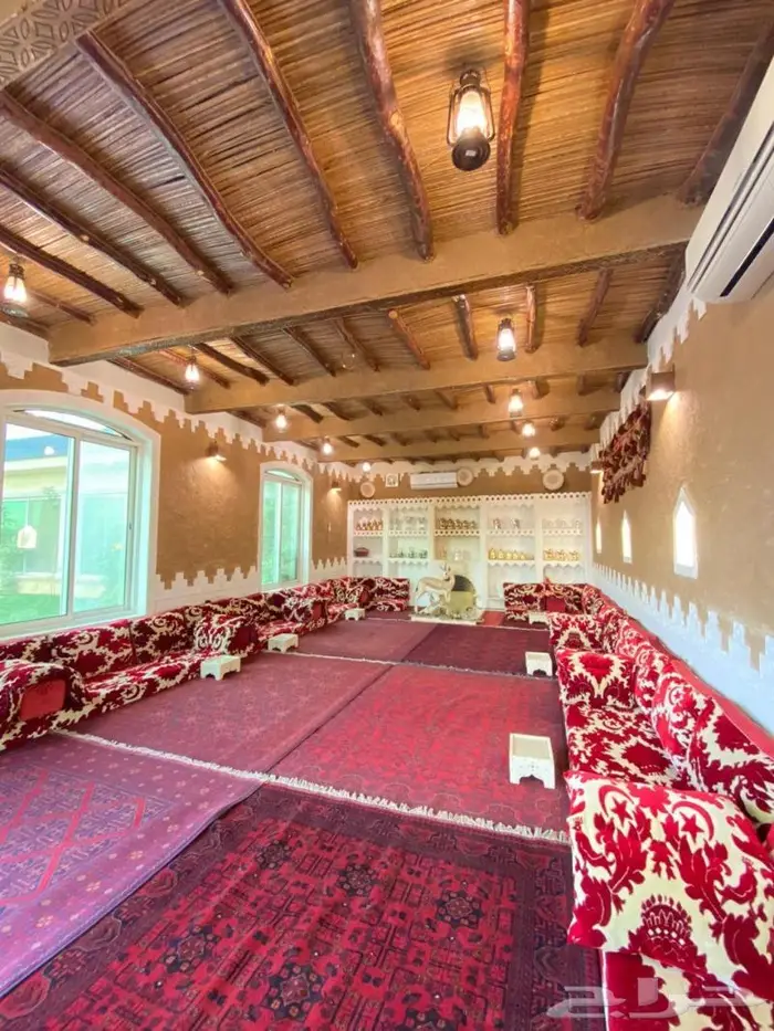 ايواء خيل فرس حصان مهر للايجار الشهري واليومي 1