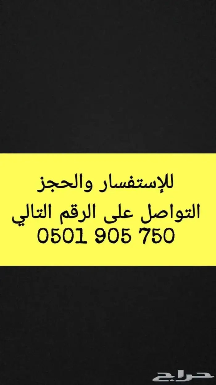 ايواء خيل فرس حصان مهر للايجار الشهري واليومي 3